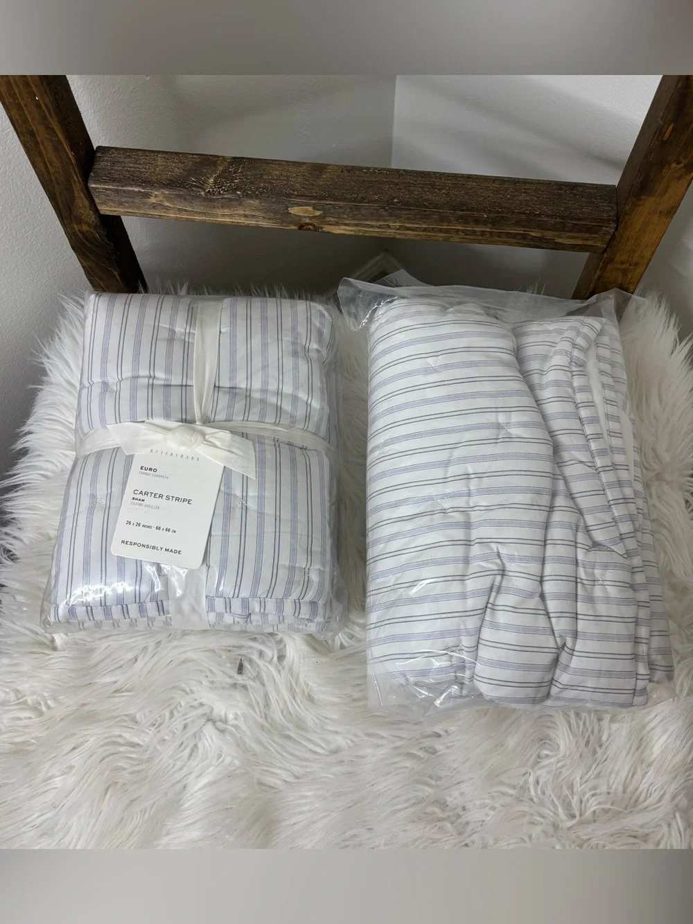 Pottery Barn Carter Stripe Blue & White Euro Pillow Shams (2)